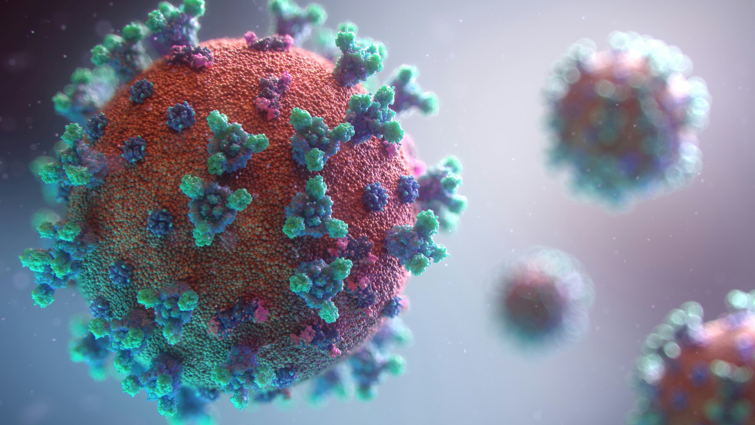 Navigating Distrust and Competing Priorities During the COVID-19 Pandemic